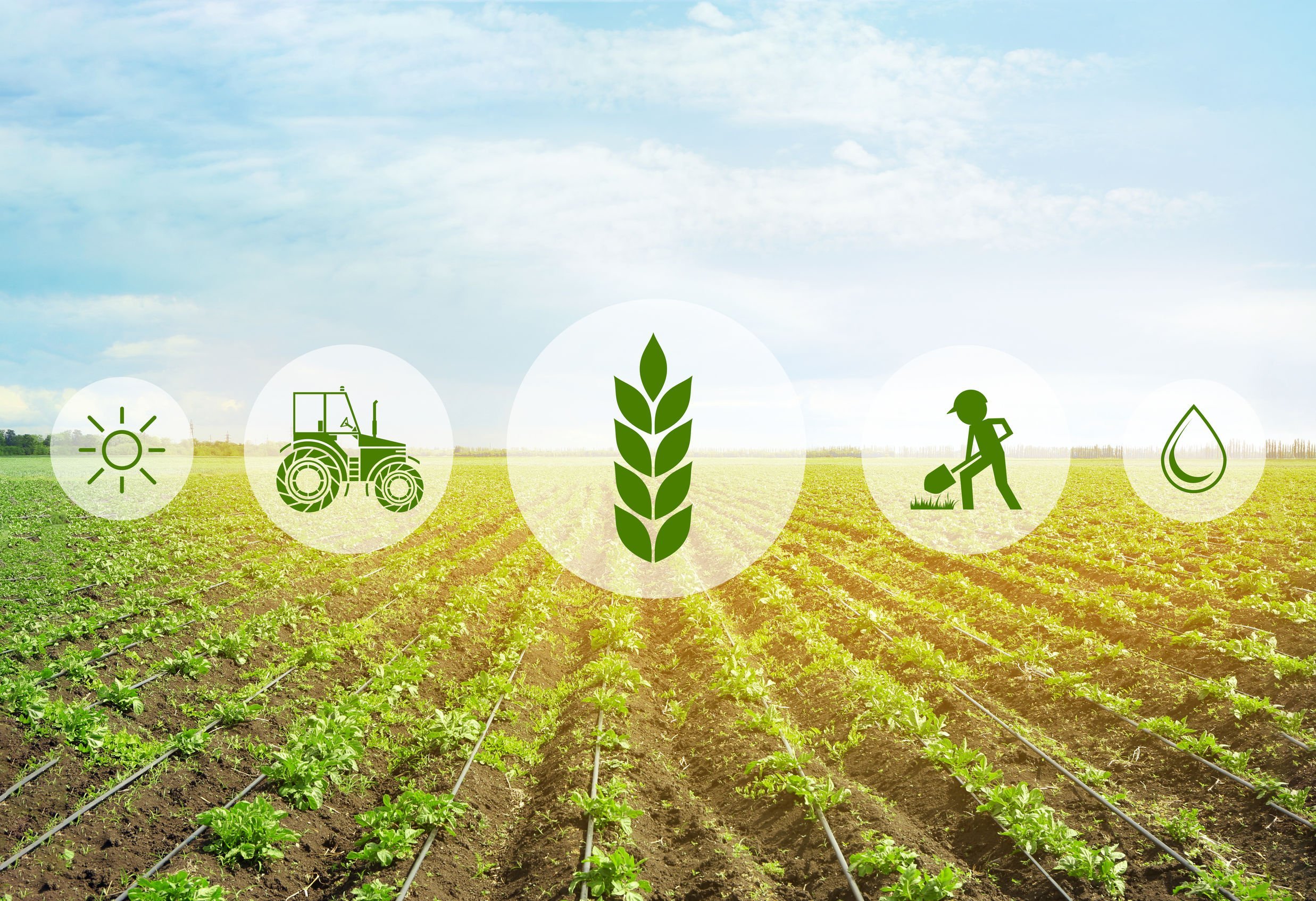 Agritech